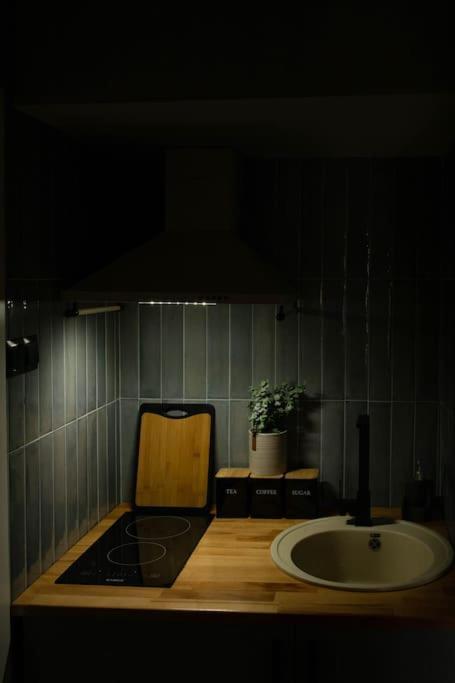 Blue Moon. Cozy Apartment Near Iulius Mall Cluj-Napoca Buitenkant foto