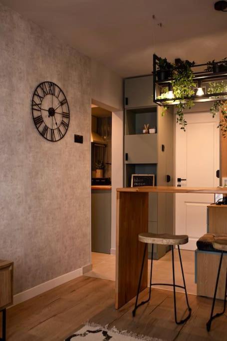 Blue Moon. Cozy Apartment Near Iulius Mall Cluj-Napoca Buitenkant foto